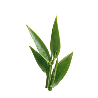 Le Sakana Livraison Sushi Marseille 13007 Element 4