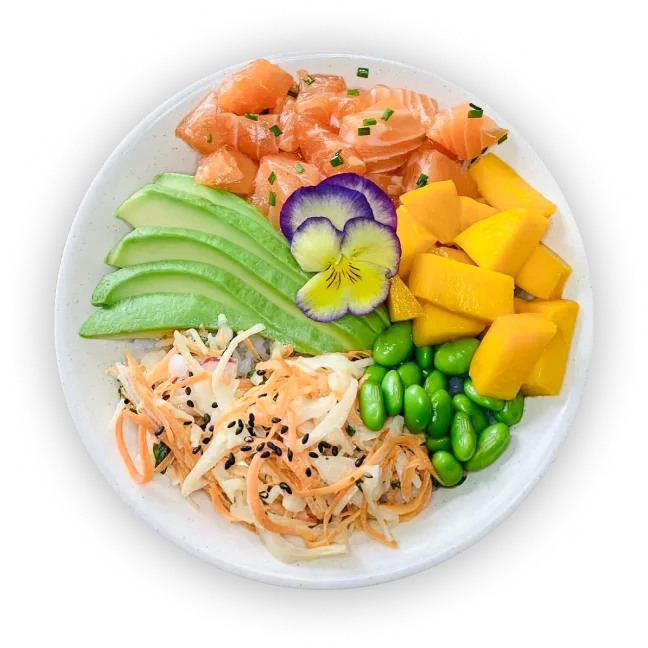 Le Sakana Livraison Sushi Marseille 13007 Plat